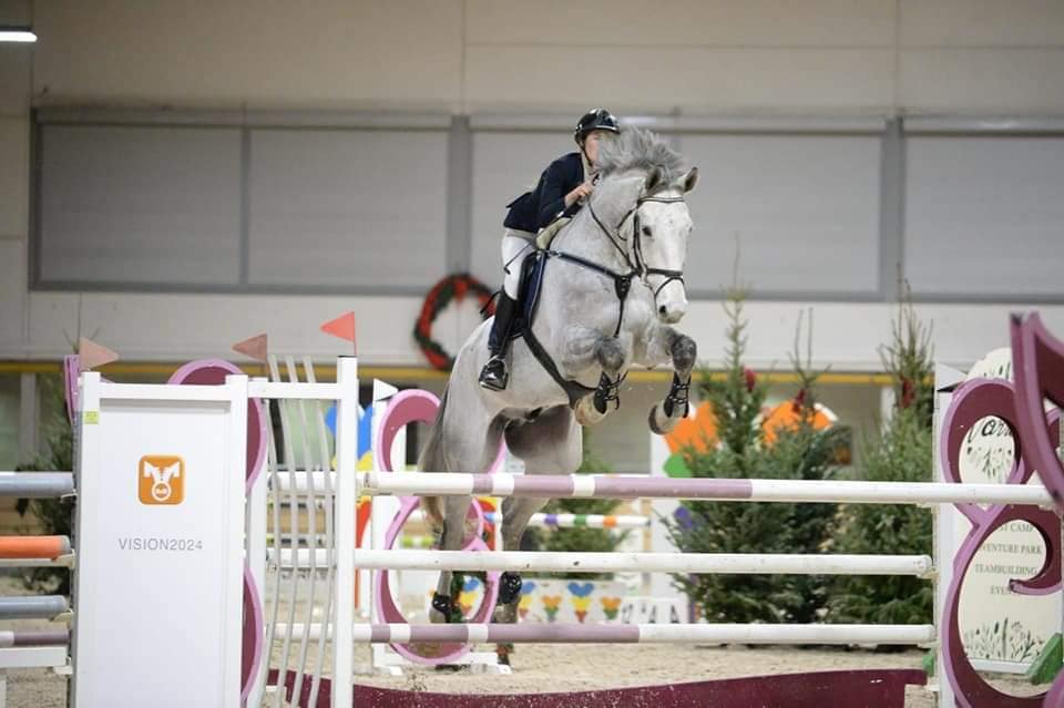 Latvian Horses